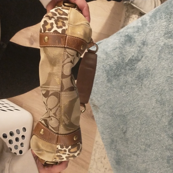 Coach Carly - Picture 5 of 6